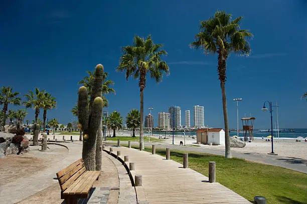 Vista de Iquique